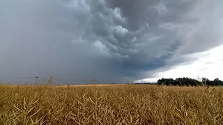 Fenómeno de El Niño: el Gobierno aprobó un plan federal de respuesta para 2026/2027
