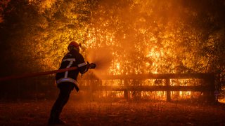 Incendios en Europa: el fuego arrasa España, Francia e Italia y ya hay más de 330.000 evacuados